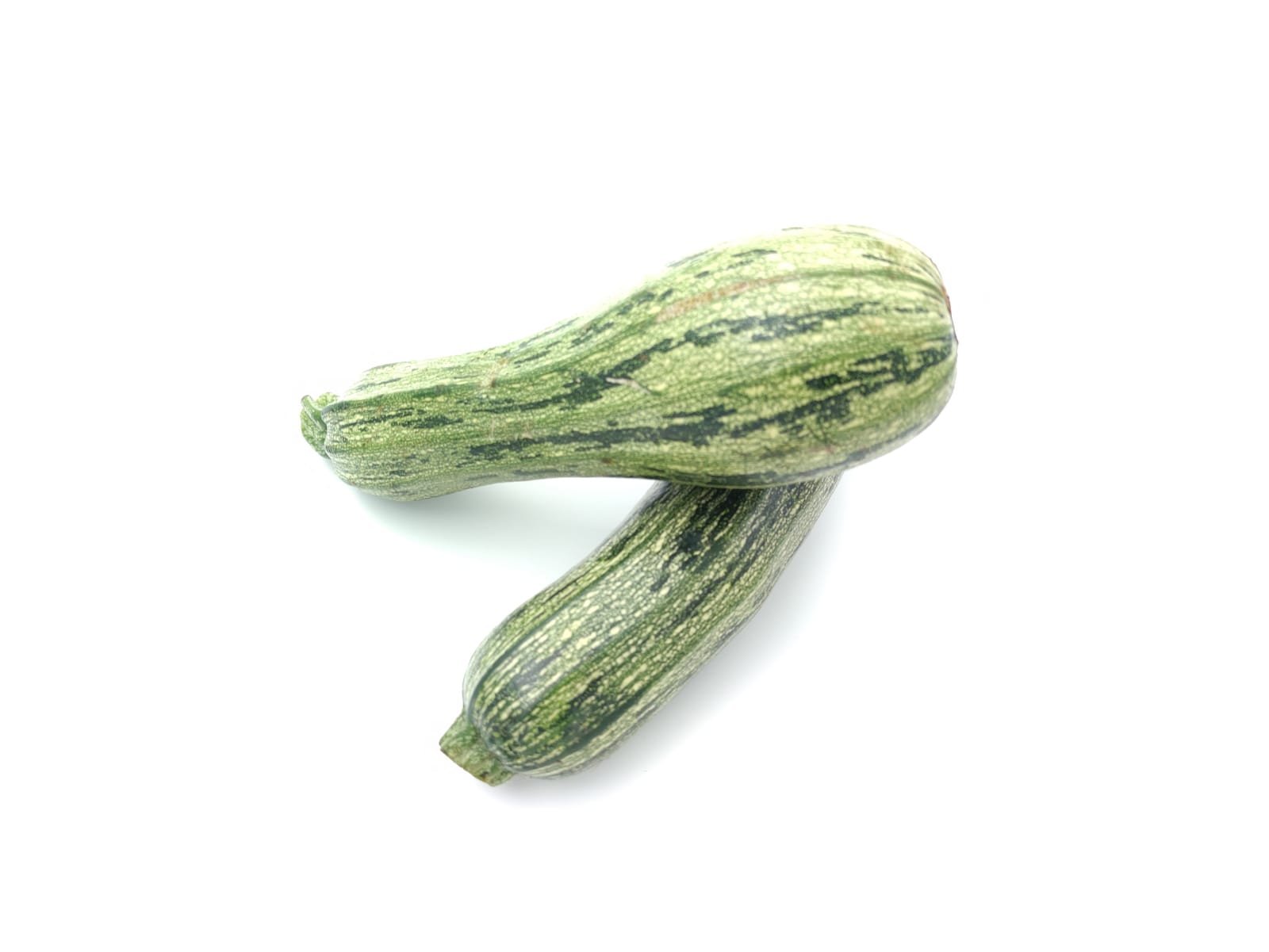 Ecotambo - Zucchini  - Calabacín Grande