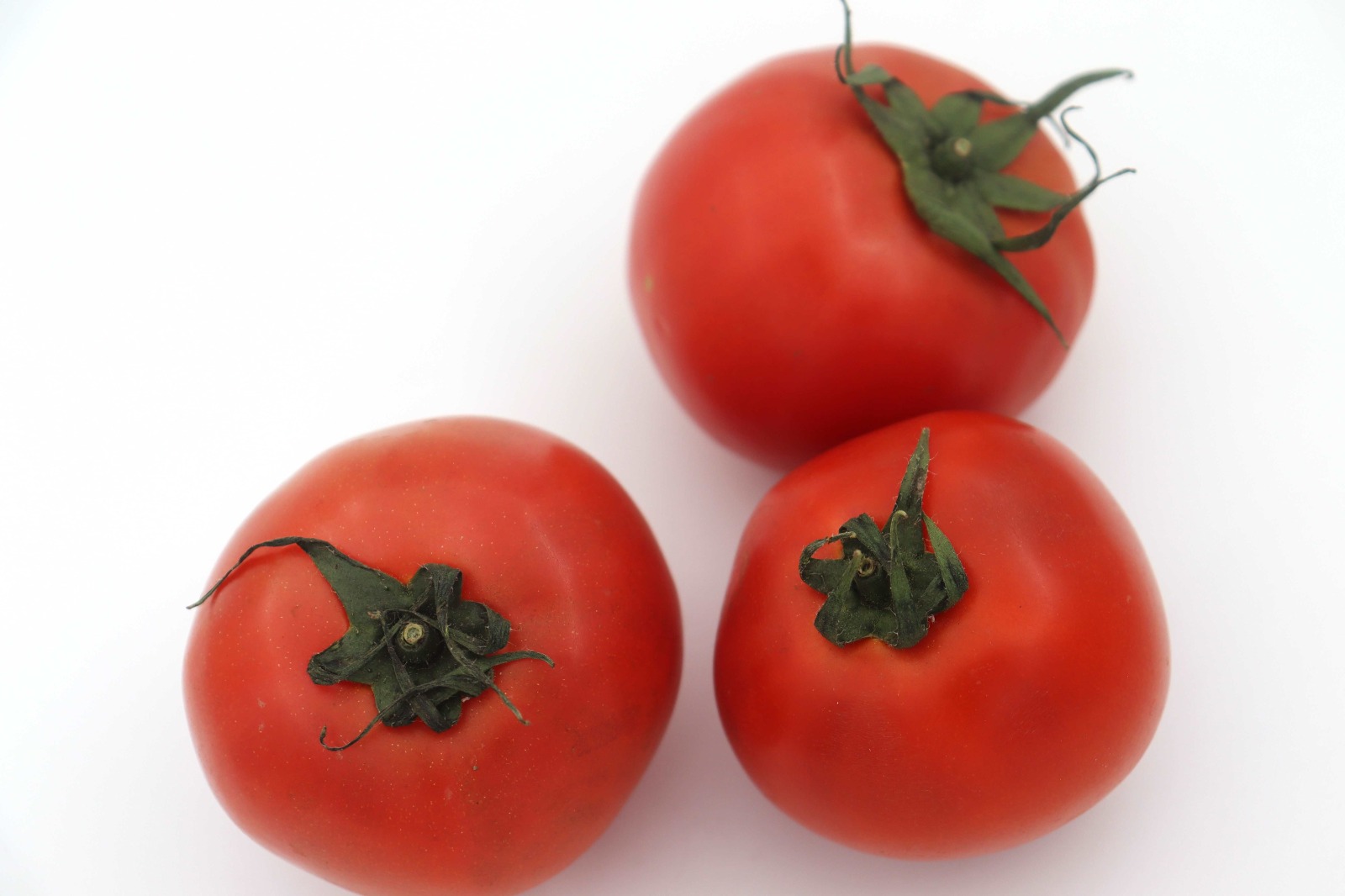 Ecotambo - Tomate